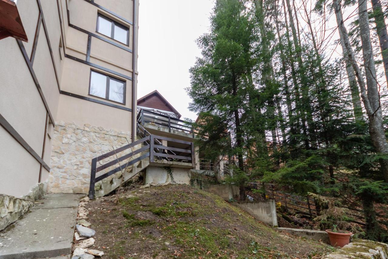 Pension Master Sinaia Extérieur photo