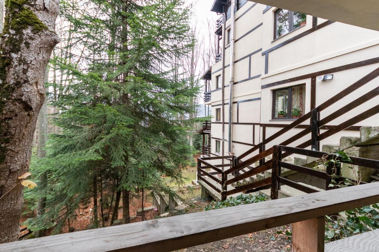 Pension Master Sinaia Extérieur photo